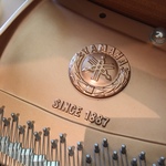 Yamaha baby grand C2