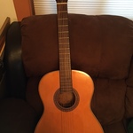 acoustic guitar