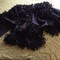 Victorian blouse