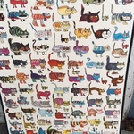 cat poster