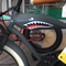 customized beach cruisers