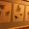 bird print
