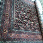 12 x 12 area rug