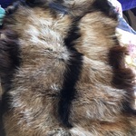 fur