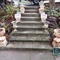 outdoor collectible pots