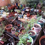 so many great vintage pots!