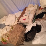 linens