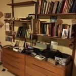 Danish modern wall unit