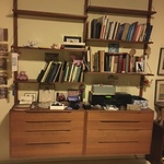 Danish modern wall unit