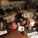 pig collection