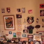 pig collection