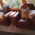 leather club chairs