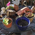 pots