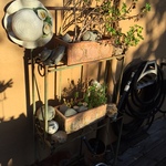 pots