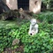 Angel statuary