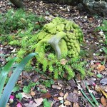 garden statuary