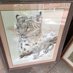 bobcat art
