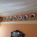 collector plates