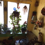 sun porch