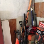 skis