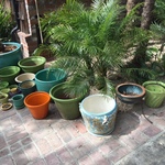 Bauer and vintage pots