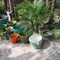 Bauer and vintage pots