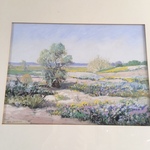 Carl Sammons original listed art