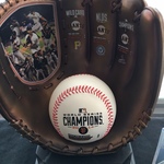 collectible Giants mitt