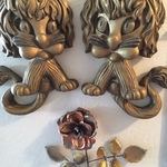 lions