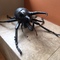 commissioned art beetle