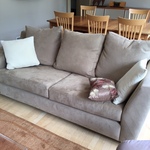 back sofa