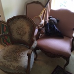 upholstered chairs