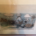 sea print