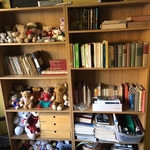 books and stuffed toys
