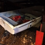 1970's dinghy