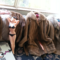 vintage furs