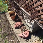 planter and pots