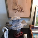 petrified wood