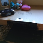 brand new dog crate
