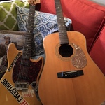 Fender Music Master