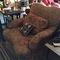 overstuffed chair