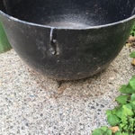 Nov Cauldron