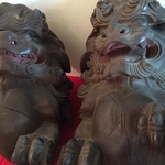 New Foo Dogs Use