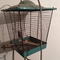 Arch St Bird Cage