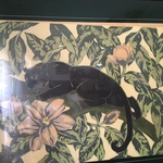Spaulding Panther Art