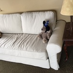 Ken Sofa