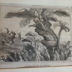 derniere print
