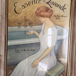 Alameda Print Lady