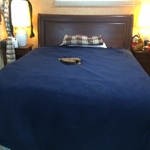 Rich Downstairs Bed