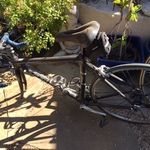Oakbike2
